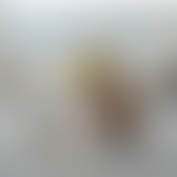 EndoFiberglass Custom Produk