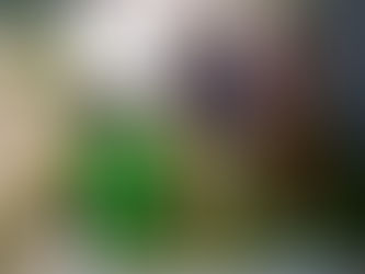 Jual Tempat Sampah Fiberglass Kotak 50L