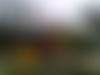 Boom Blazer di area waterpark waterboom