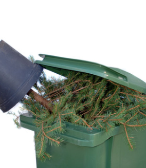 You Survived The Holidays, Now What?