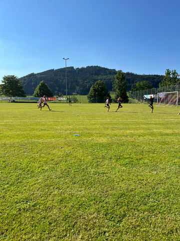 OV6.JPG