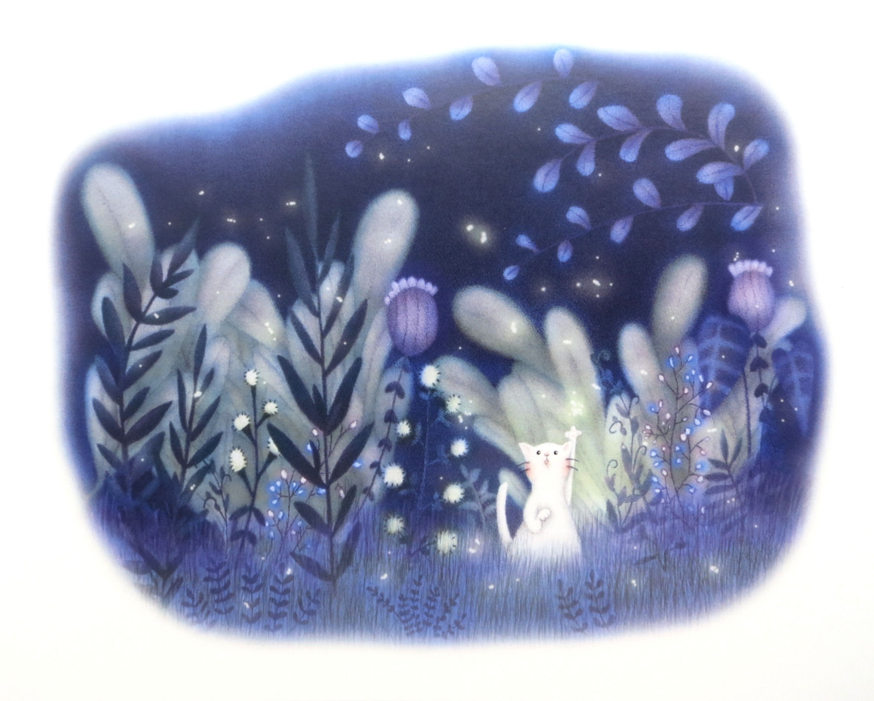 Cat and Fireflies Fantasy Print by Ria Art