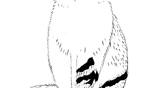 Sunny Cat Print by Harumo Sato