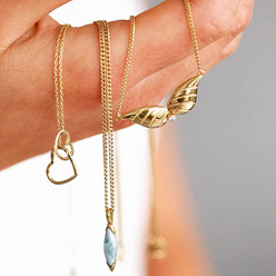 Project Goldplate Janz
