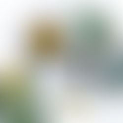 How to Give Your Skin a Mid-Summer Refresh