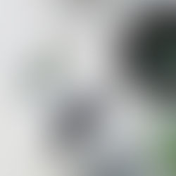 Top Reasons Nourishing Face Masks Should Be in Your Skincare Routine