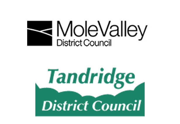 Mole-Valley-Tandridge.jpg