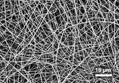 Carbon Nanofiber SEM - Following Carbonization