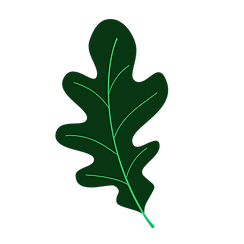 Leaf dark  The Wild Tribe_edited.png