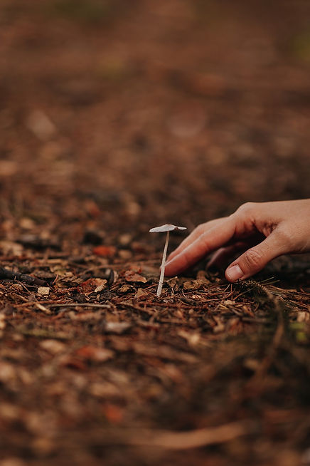 The Wild Tribe-170.jpg