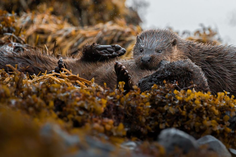 20-10-21 (513)-Edit.jpg