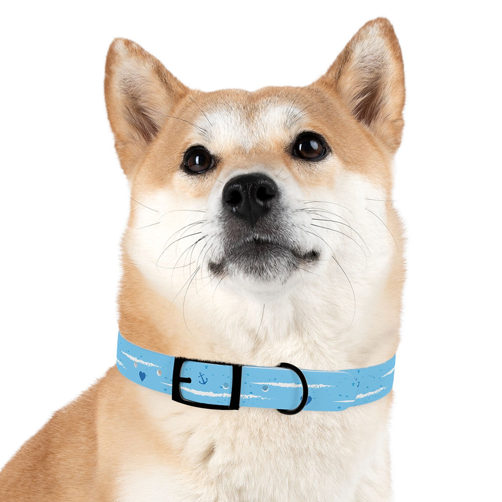 Thumbnail: Nautical Dog Collar with Heart Design