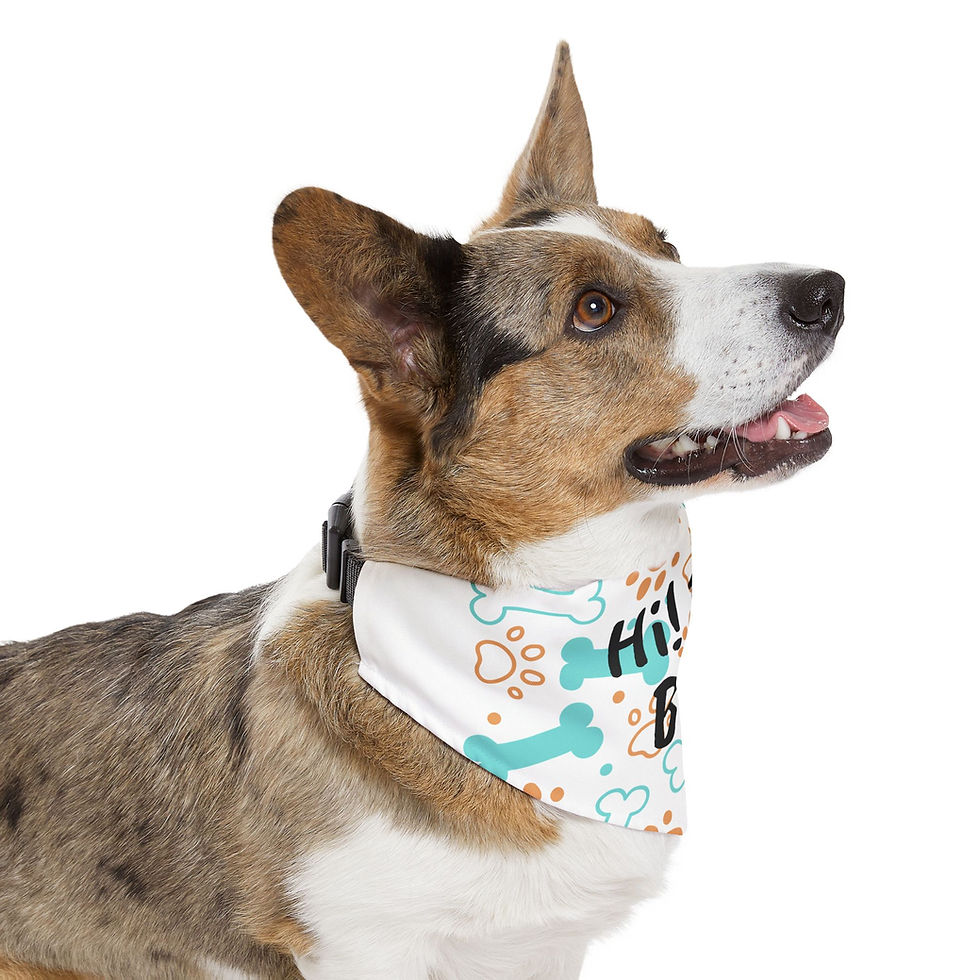 Thumbnail: Personalized Pet Bandana Collar, Fun Dog Accessory, Pet Show Events, Dog Gear