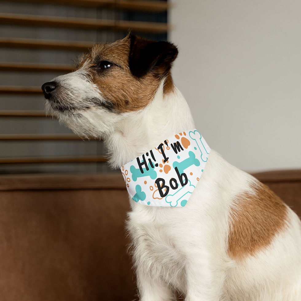 Thumbnail: Personalized Pet Bandana Collar, Fun Dog Accessory, Pet Show Events, Dog Gear