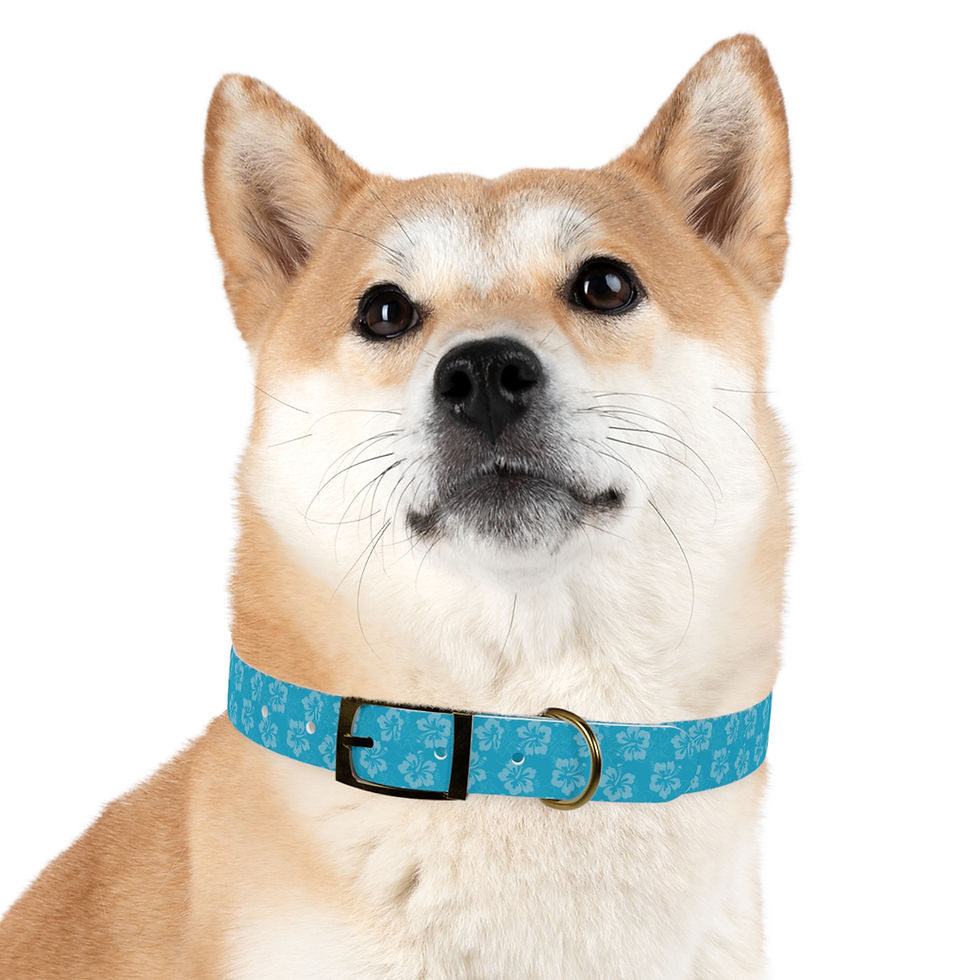 Thumbnail: Blue Hawaiian Dog Collar, Adjustable Pet Collar, Cute Dog Accessories