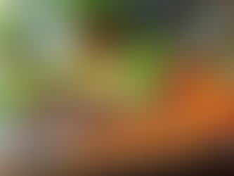 Effective Meal Planning for Seniors: Tips and Strategies