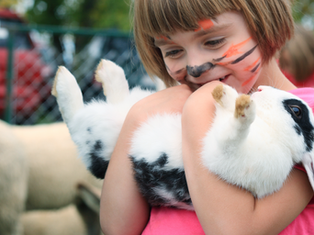 Girl holds rabbit