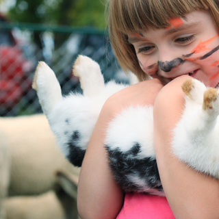 Girl holds rabbit