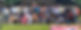 picnic group banner.jpg