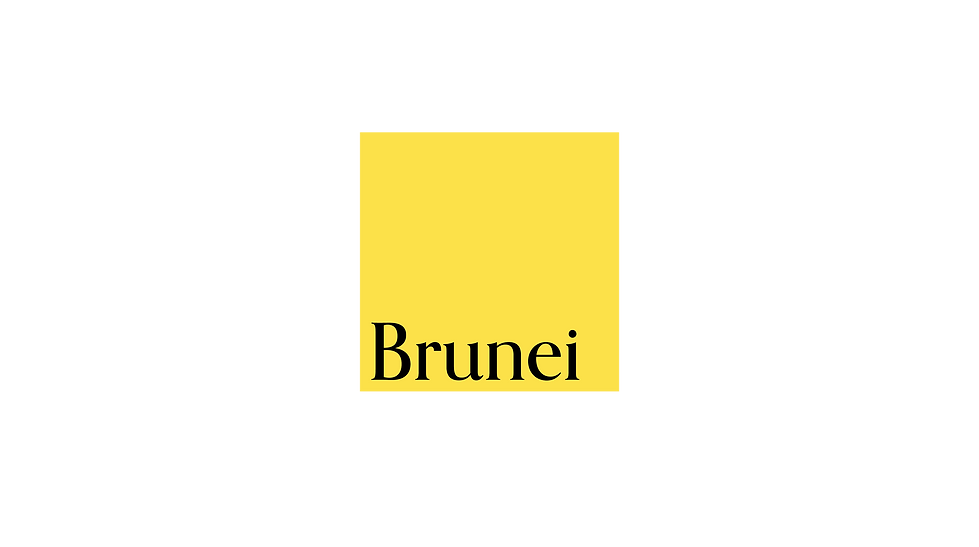 Brunei rebrand v4-02.png