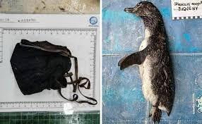 Nos vamos unos días (hasta el 15 de diciembre)