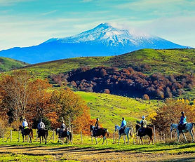 Sicilian Countryside Experience: Horseback Ride and Traditional Lunch