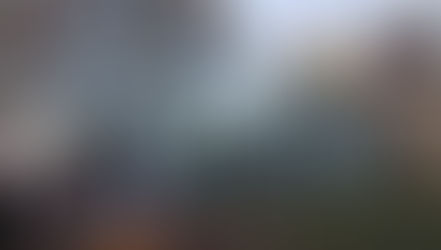 Gregor Mendel, il frate agostiniano che scoprì le leggi della genetica nella "serra"