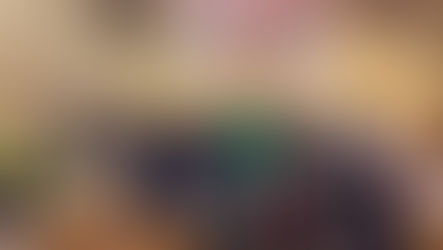 Visita generale di P. Joseph alla Provincia di Chicago e al CPO della California