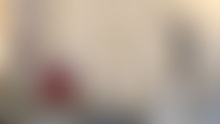 La visita canonica a Michoacán, la Provincia più popolosa d'America: "È stata una benedizione"