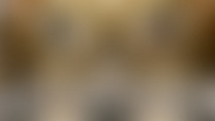 P. Alejandro celebra il suo giubileo d'oro in Spagna con altri dodici agostinia