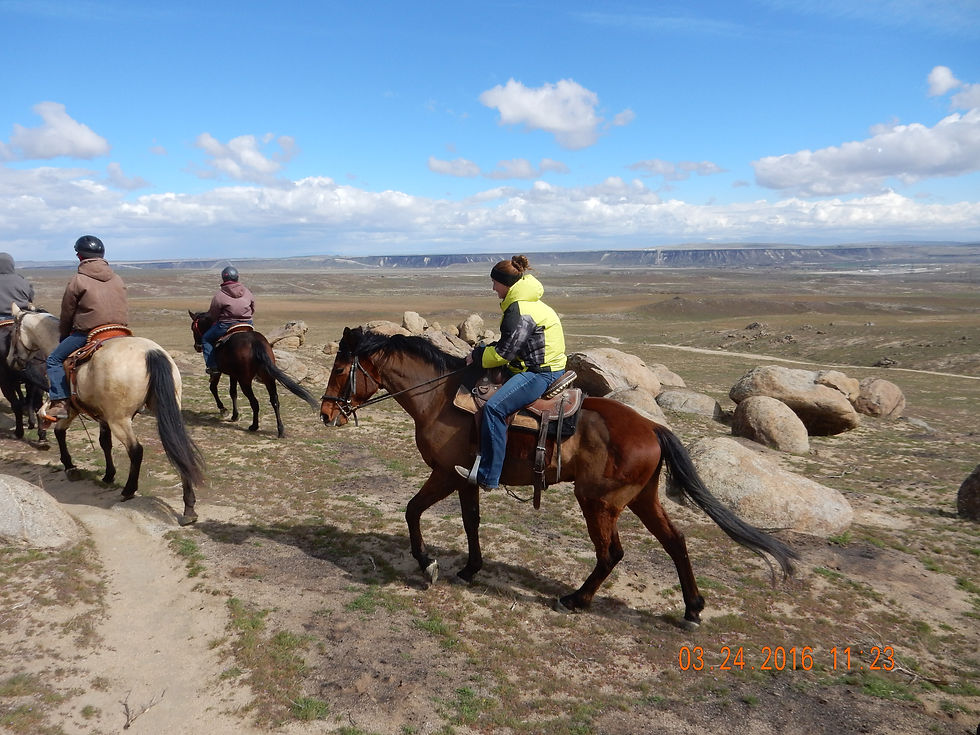 Owyhee Large Group Ride