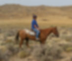 Owyhee Desert