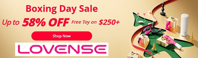 lovense boxing day sale