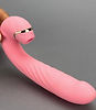 eden fantasys swish vibrator