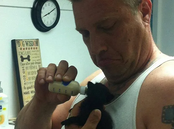 Keno S Animal Sanctuary Brooklyn