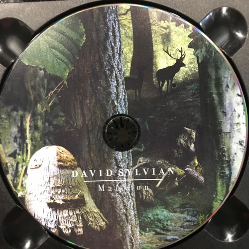David Sylvian ‎– Manafon | cdhkonline.com