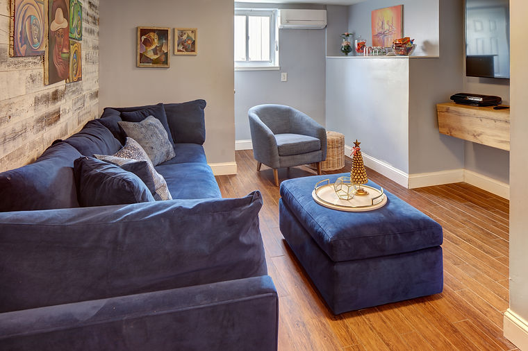 _W1A9268-85 Marinique Wedgewood (basement to window)_resized.jpg