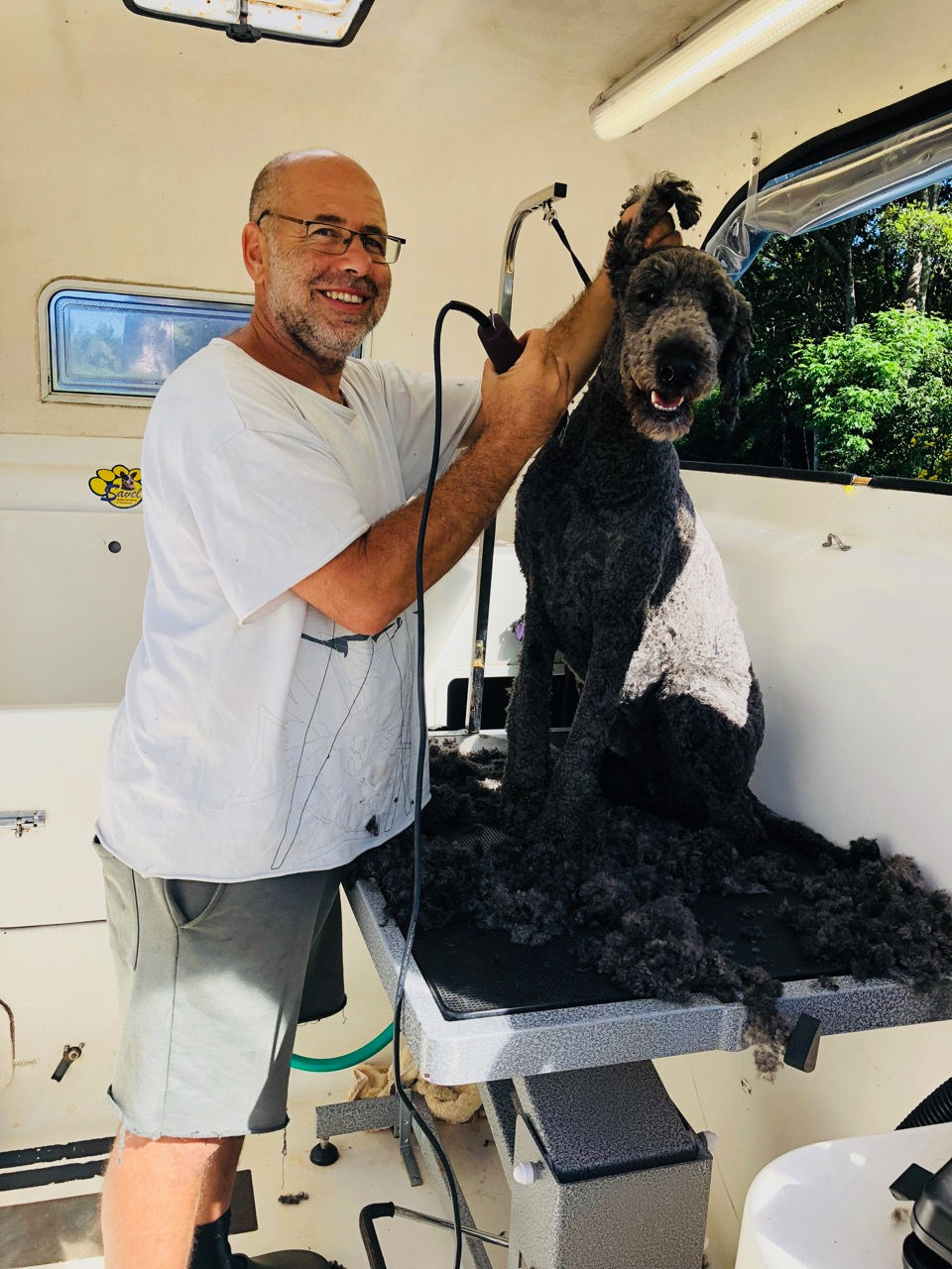 Dog clipping