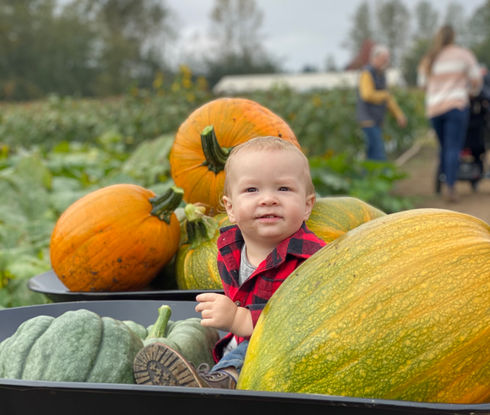 Home Farm Pumpkin Patch Whatcom County
