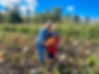 Home Farm Pumpkin Patch Whatcom County
