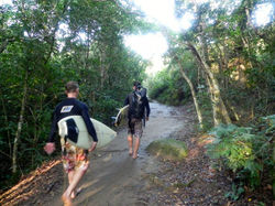 Trilha de fácil acesso