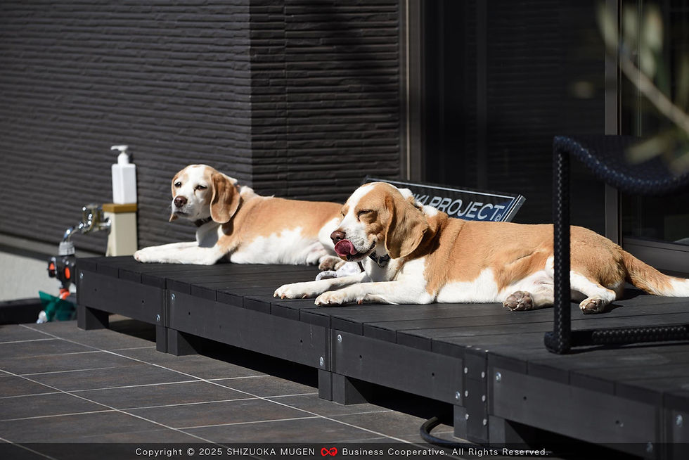 静岡の風景：No.67