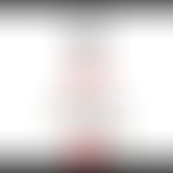 HOME PAGE (Openingの追加)