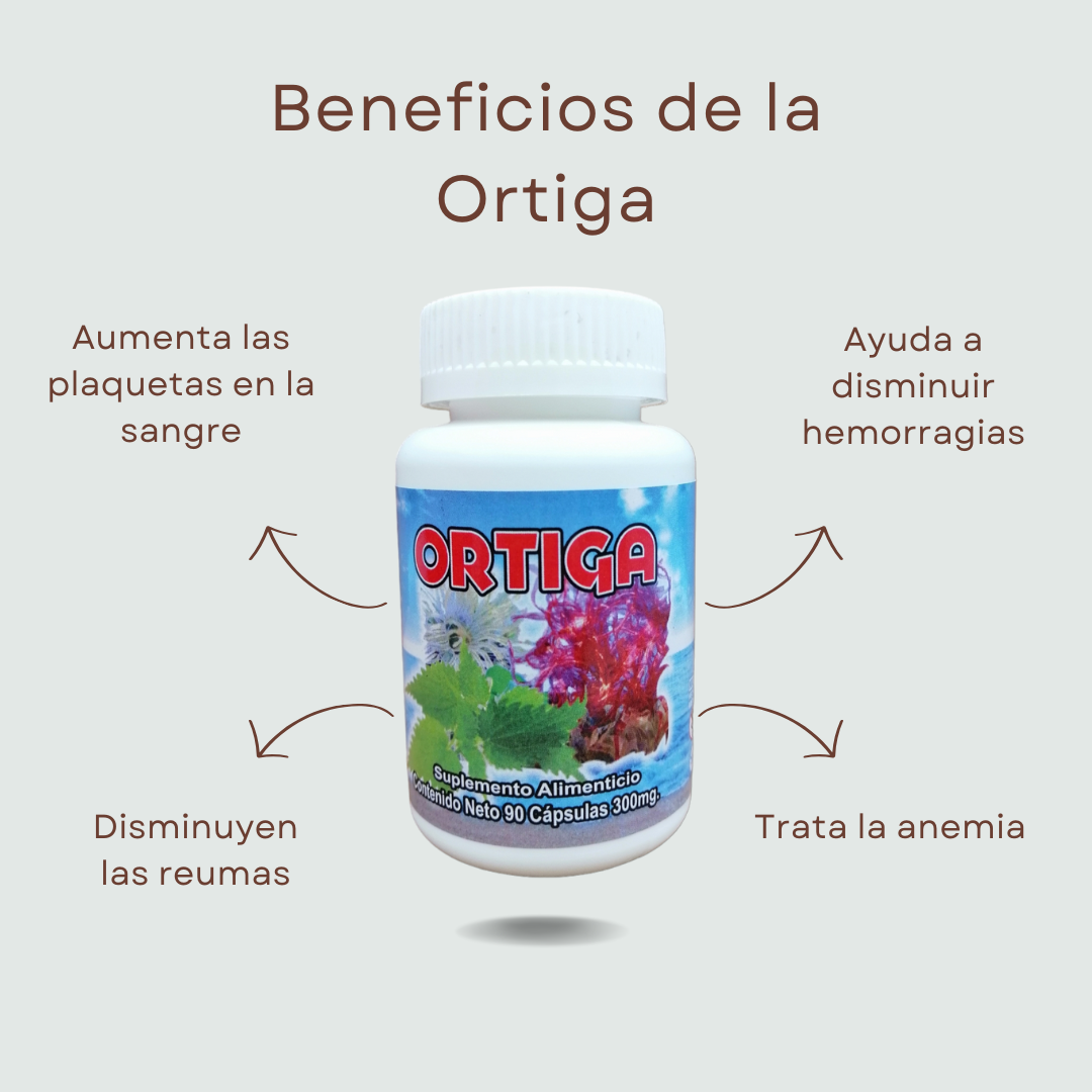 2x1 1/2 Ortiga