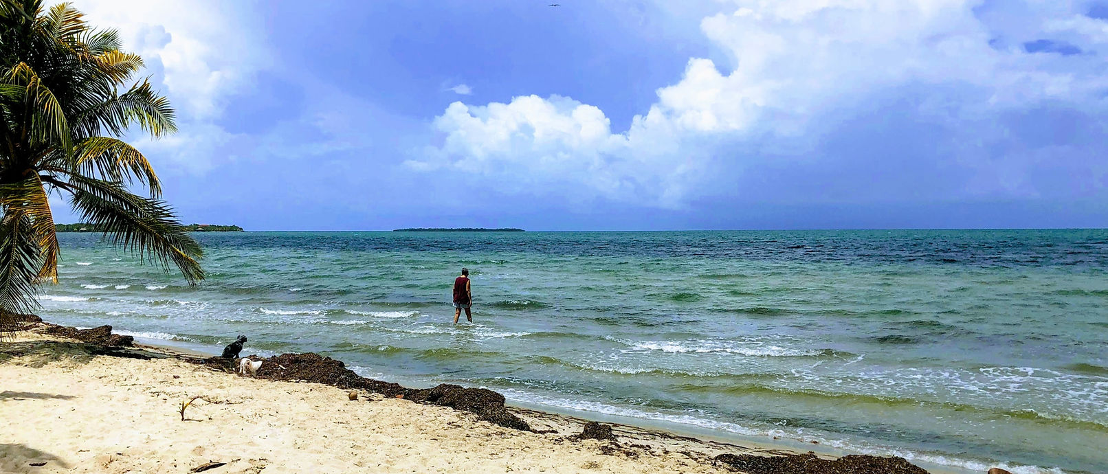 janiceincarribean_edited.jpg