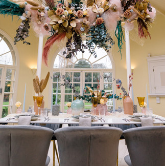 Ivory Events Campaign