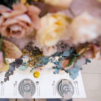 Ivory Events Campaign