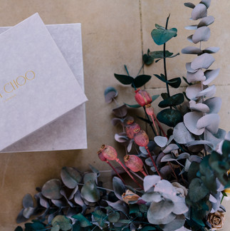 Ivory Events Campaign