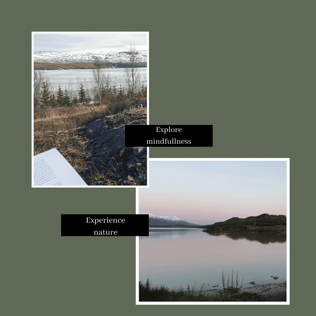 Explore the wilderness