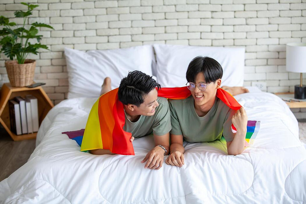 Gay Matchmaking Service